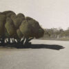 Serie Retiro. Siluetas Retiro 2 | Pocket painting