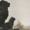 Serie Retiro - Leones | Pocket painting