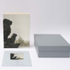 Serie Retiro - Leones | Pocket painting - Imagen 3