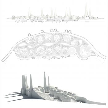 Cinco generaciones de arquitectos24