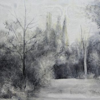 Naturaleza y arquitectura. Muros_saliendo de la sauca 2 bn 30x60 cm 2008