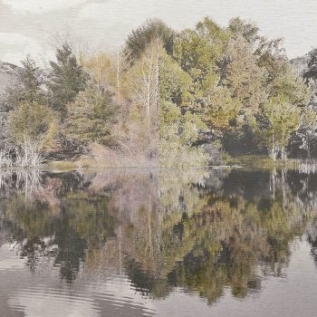 El tiempo en la naturaleza_12 Simetría. Primavera 18 Verano 18. 36,3x 55 cm
