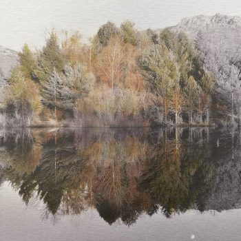 El tiempo en la naturaleza_2 Reflejos de invierno en pantano 30-XII-17, 18h11mn. 36,3x 55 cm