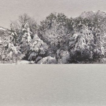 El tiempo en la naturaleza_4 Reflejos de invierno en pantano nevada II. 8-1-18, 14h06 mn . 36,3x 55 cm