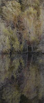 El tiempo en la naturaleza_Fragmento vertical 1 125x25 cm.2019_2